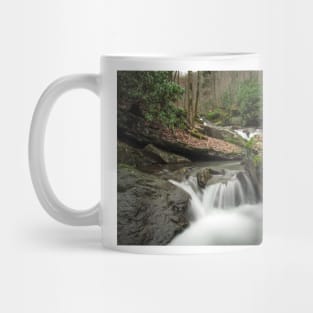 Lower Coal Run Mug